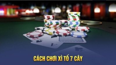 Cách chơi xì tố 7 Cây và bí quyết để tạo nên thành công